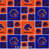 Boise State Broncos Block