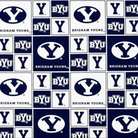 Brigham Young Cougars (Block)