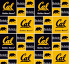 Cal Berkeley Bears Block