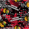 Chicago Blackhawks Multi