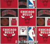 Chicago Bulls Block