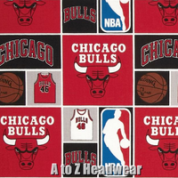 Chicago Bulls Block