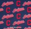 Cleveland Indians Original