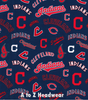 Cleveland Indians Cooperstown