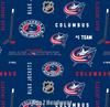 Columbus Blue Jackets Original