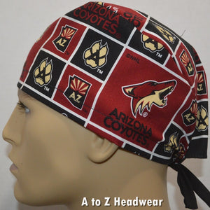 Arizona Coyotes