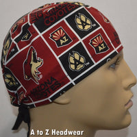 Arizona Coyotes