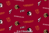 Florida Seminoles FSU (First Print)