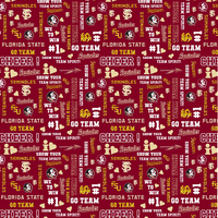 Florida Seminoles FSU Pride Cheer Words