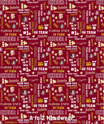 Florida Seminoles FSU Pride Cheer Words