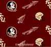 Florida Seminoles FSU Spear