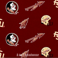 Florida Seminoles FSU Spear