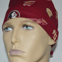 Florida Seminoles FSU Spear