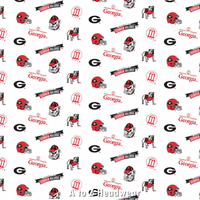 Georgia Bulldogs White