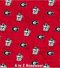 Georgia Bulldogs Distressed Words