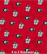 Georgia Bulldogs Distressed Words