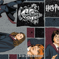 Harry Potter Block