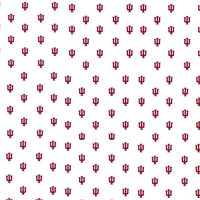 Indiana Hoosiers