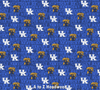 Kentucky Wildcats Distressed