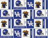 Kentucky Wildcats (Block)