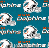 Miami Dolphins