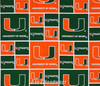 Miami Hurricanes Block