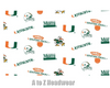 Miami Hurricanes White