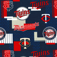 Minnesota Twins Patch