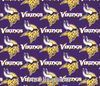 Minnesota Vikings