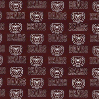 Missouri State Bears