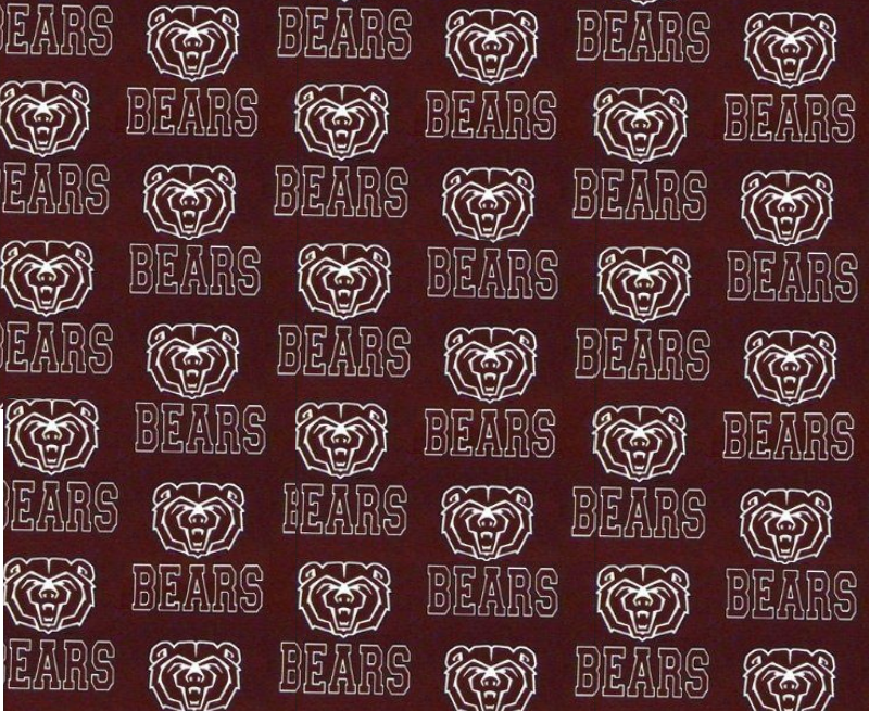 Missouri State Bears