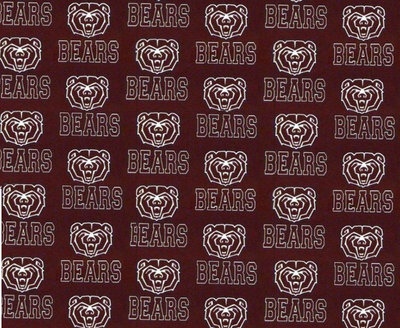 Missouri State Bears