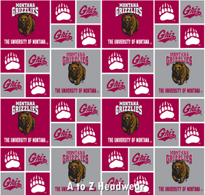 Montana Grizzlies Block