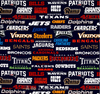 NFL Team Names