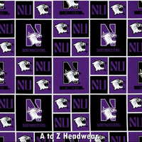 Northwestern Wildcats Block