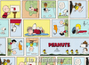 Peanuts Comic Strip