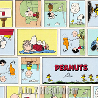 Peanuts Comic Strip