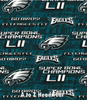 Philadelphia Fly Eagles Fly