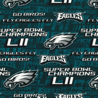 Philadelphia Fly Eagles Fly