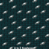 Philadelphia Eagles Mini-Print