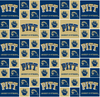 Pittsburgh Panthers