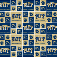 Pittsburgh Panthers