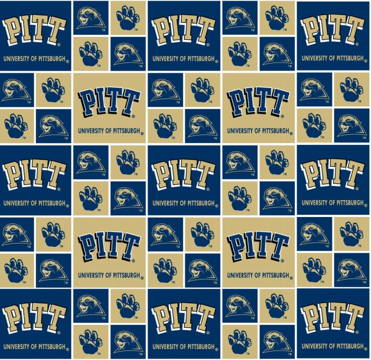 Pittsburgh Panthers