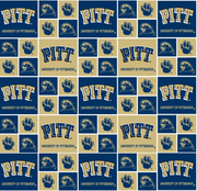 Pittsburgh Panthers