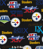 Pittsburgh Steelers Championship Legacy