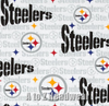 Pittsburgh Steelers White