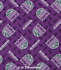 Sacramento Kings Purple