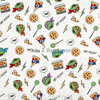 TMNT Ninja Turtles Got Pizza?