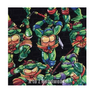 TMNT Ninja Turtles Muscular Dudes