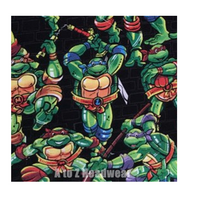 TMNT Ninja Turtles Muscular Dudes